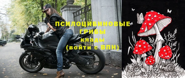 крисы Алексин