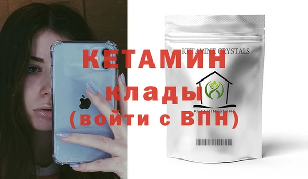 крисы Алексин