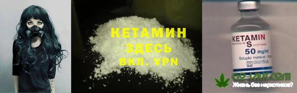крисы Алексин