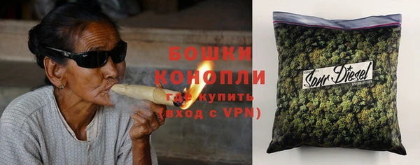 крисы Алексин