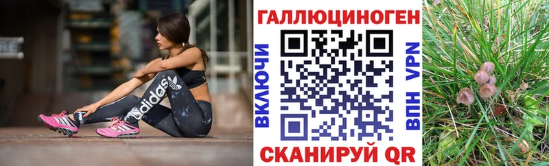 Псилоцибиновые грибы мухоморы  закладка  Венёв 